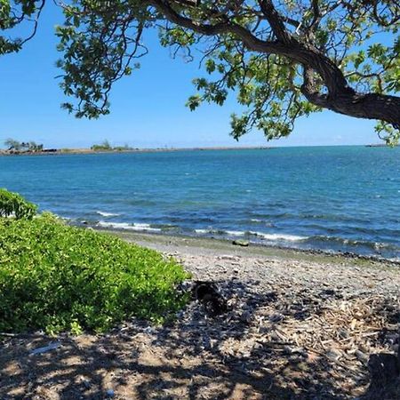 Robbins Estate Haiku المظهر الخارجي الصورة